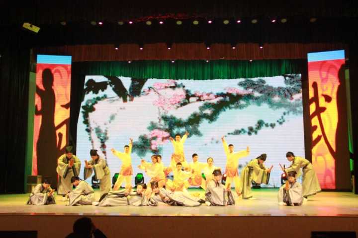 图一 我院参赛队伍表演照(王澳伦摄)